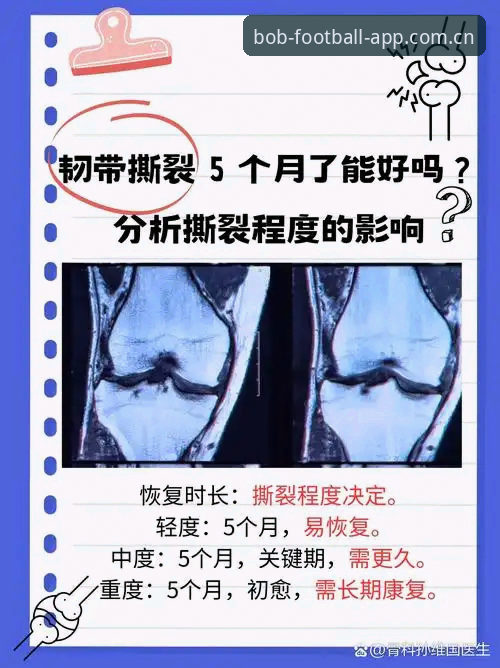 德国脚踝韧带撕裂伤停8周：施洛特贝克的世界杯之路意外中止